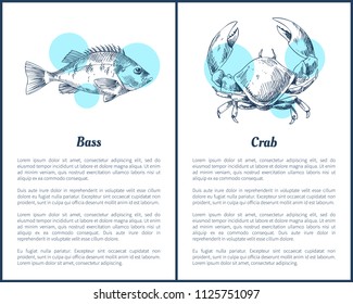 Eel and octopus hand drawn vector illustration. Hand drawn decorative icons of seafood set brochure in sketch style isolated on white vintage template