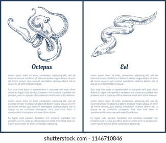 Eel and octopus hand drawn vector illustration. Hand drawn decorative icons of seafood set brochure in sketch style isolated on white vintage template