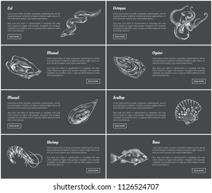 Eel and octopus marine dwellers set. Species with shells sea and ocean animals. Posters presenting shrimp bass and mussels scallop vector illustration