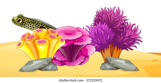 Eel swimming behind the coral illustration