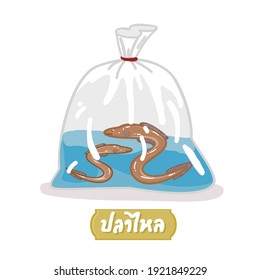 Eel in Thai Language it mean “Eel”
