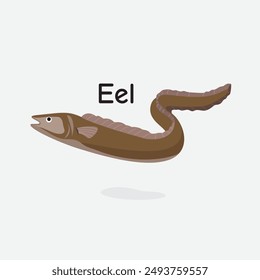 Eel Vector Illustration: Long Slender Fish