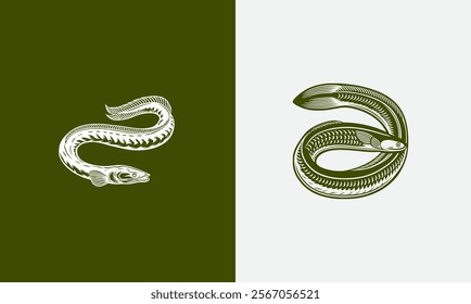 Eel vector on white background