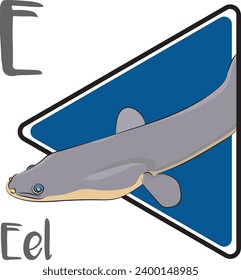 Eels are elongated fish who possess no pelvic fins. The eel is famous for both its slippery nature and its mammoth migration from its freshwater home to the Sargasso Sea where it breeds.