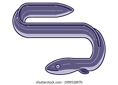 Eel(sea eel, pike eel). Colored Vector illustration.