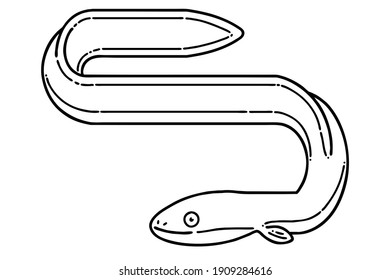 Eel(sea eel, pike eel). Vector line art illustration.