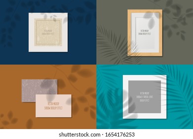 The effect of applying a transparent shadow to the plant leaf. branch, sunlight. Template for design, natural nature. vector mockup