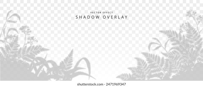 The effect of applying a transparent shadow. Shade from grass, ferns and herb. Abstract background for product presentation