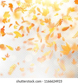 Effect of autumn falling leaves layer with shallow DOF blur. Autumnal foliage fall template. Warm color. EPS 10