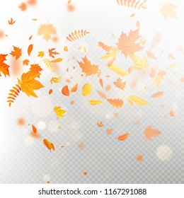 Effect of autumn falling leaves layer with shallow DOF blur. Autumnal foliage fall template. Warm color. EPS 10