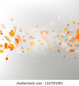 Effect of autumn falling leaves layer with shallow DOF blur. Autumnal foliage fall template. Warm color. EPS 10