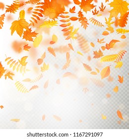 Effect of autumn falling leaves layer with shallow DOF blur. Autumnal foliage fall template. Warm color. EPS 10