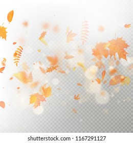 Effect of autumn falling leaves layer with shallow DOF blur. Autumnal foliage fall template. Warm color. EPS 10