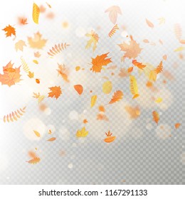 Effect of autumn falling leaves layer with shallow DOF blur. Autumnal foliage fall template. Warm color. EPS 10