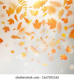 Effect of autumn falling leaves layer with shallow DOF blur. Autumnal foliage fall template. Warm color. EPS 10
