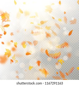 Effect of autumn falling leaves layer with shallow DOF blur. Autumnal foliage fall template. Warm color. EPS 10