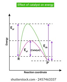 Effect of catalyst on energy or Le Chatelier’s Principle 