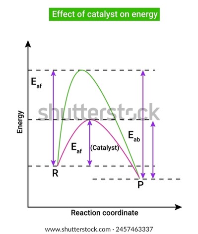 Effect of catalyst on energy or Le Chatelier’s Principle 
