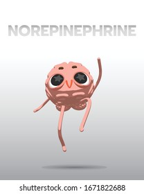 Effect of epinephrine, brain response