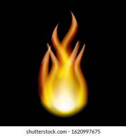 The effect of the flame of fire on a black background.
