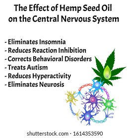 The effect of hemp seed oil on the central nervous system. Synapses of neurons. Neural communications background. Synapse communication neuron. Vector illustration on isolated background.