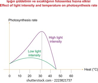 Effect of light intensity and temperature