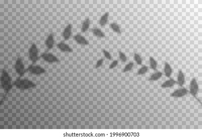 El efecto de las sombras superpuestas. La sombra de las plantas, las flores. Sombra de luz realista de flor, planta, hojas. Sombra PNG.