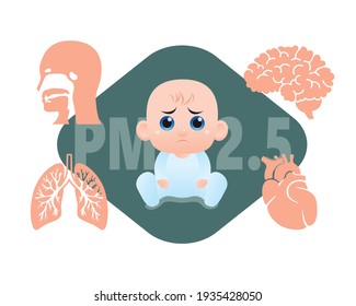 Effect of PM 2.5 to people. Brain heart lung and Respiratory tract. vector illustration isolated cartoon