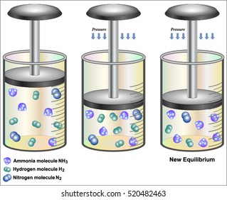 Effect Pressure On Equilibrium Chateliers Principle Stock Vector ...