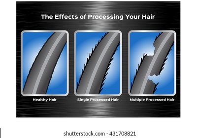 The Effect Of Processing Your Hair Vector , Infographic , Good Turn To Bad 