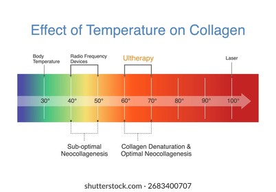 Effect of Temperature on Collagen with Ultherapy and Radio Frequency Devices. Diagram about Facial Skin lifting treatments with energy shot equipment to restore collagen and Elastin in the skin layer.