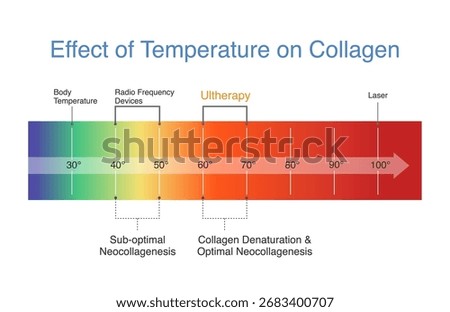 Effect of Temperature on Collagen with Ultherapy and Radio Frequency Devices. Diagram about Facial Skin lifting treatments with energy shot equipment to restore collagen and Elastin in the skin layer.