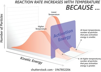 Effect of temperature on reaction rate