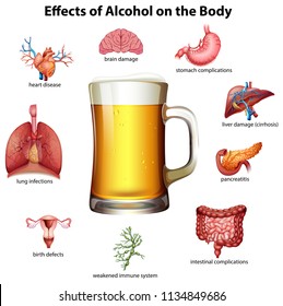 Effects of alcohol on the body illustration