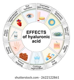 Effects of hyaluronic acid. Vector illustration. Medical poster. Schematic diagram
