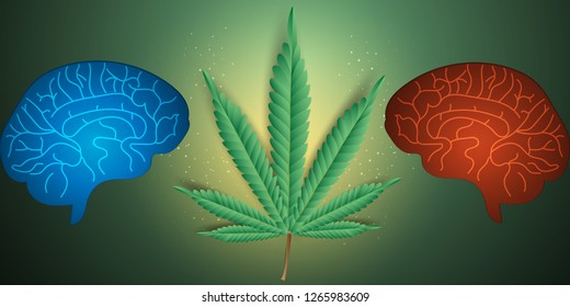 Effects of marijuana,cannabis on the brain.vector