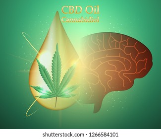 Effects of marijuana,cannabis on the brain.vector