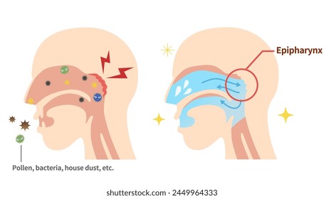 Effects and methods of nasal gargling How to clean the nasopharynx