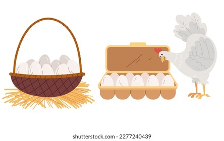 Egg basket chicken box farm pack isolated set. Vector graphic design illustration