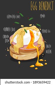 Egg Benedict - Toasted English Muffins, Ham, Poached Eggs, And Delicious Buttery Hollandaise Sauce. Vector Illustration