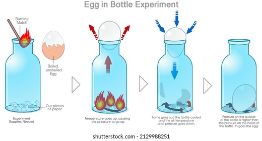 Egg in a bottle experiment. Air pressure. Boiled, unshelled egg get sucked into glass. When temperature goes up, pressure goes up and down test, stages. scientific demonstration. Vector illustration