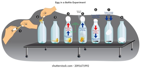 Egg in a Bottle Experiment Infographic Diagram egg pushed inside due to difference in air pressure according to ideal gas law temperature pressure increase volume fix physics science education vector