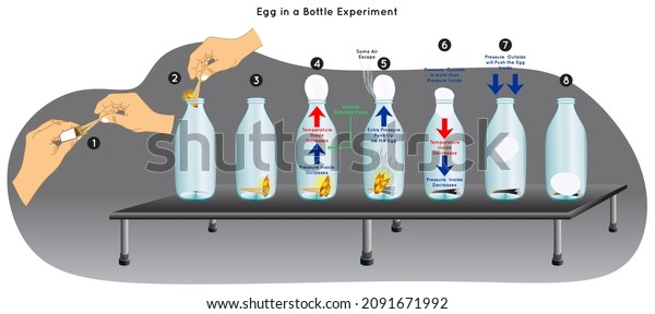 Egg in a Bottle Experiment Infographic Diagram egg\
pushed inside due to difference in air pressure according to ideal\
gas law temperature pressure increase volume fix physics science\
education vector