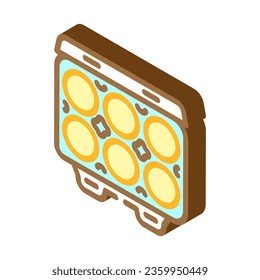 egg box hen isometric icon vector. egg box hen sign. isolated symbol illustration