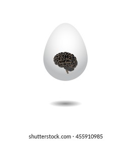Egg with brain. Vector illustration.