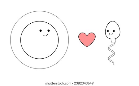 Celda de huevo y esperma en tierno estilo de dibujos animados. La fertilización humana aisló la ilustración vectorial.