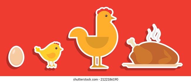 Egg, chicken, baked chicken. The evolution of a chicken from egg to adult chicken. Vector, cartoon illustration. Vector.