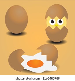 egg chicken broken eggshell baby chicken.