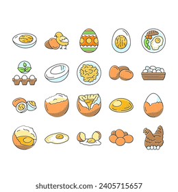 egg chicken farm food organic icons set vector. easter bird, animal breakfast, fresh healthy, ingredient protein, brown shell hen egg chicken farm food organic color line illustrations