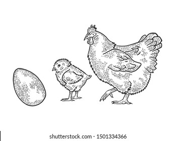 Egg chicken and hen sketch engraving vector illustration. Tee shirt apparel print design. Scratch board style imitation. Black and white hand drawn image.